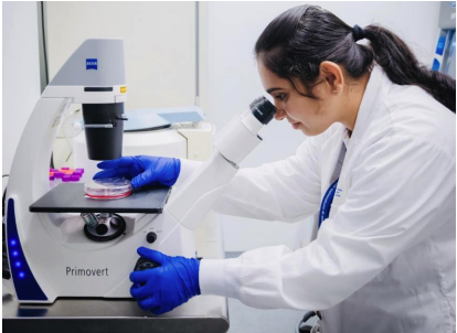 Dr. Shabeeba M. Ashraf